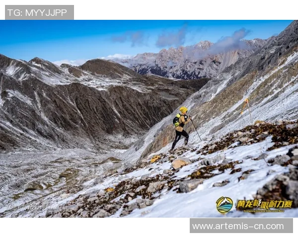 南京与武汉极限运动队赛后技术分析与战术对比探讨