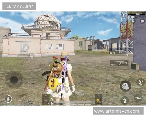 和平精英战术解析：TES团队运营体系的成功之道与实战应用