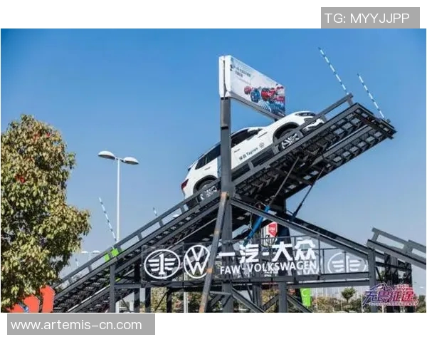 杨伟独家分享极限运动心得与技巧助你突破自我极限挑战极限运动的乐趣与安全性