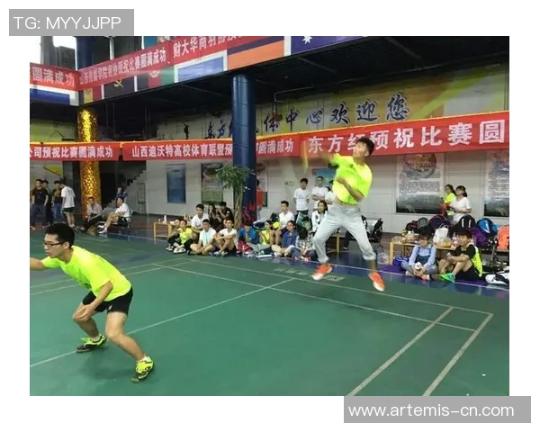 杭州羽毛球队在精英赛中的比赛经验与表现分析