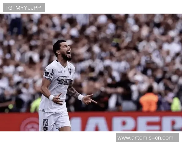 博塔弗戈与巴球队对决精彩瞬间回顾与赛后分析