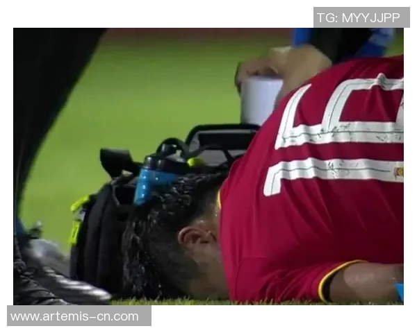 埃弗顿与水晶宫比赛评分分析及球员表现点评