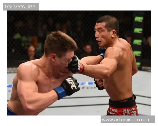 张立鹏与洪永基巅峰对决谁将成为拳坛新星的领军人物