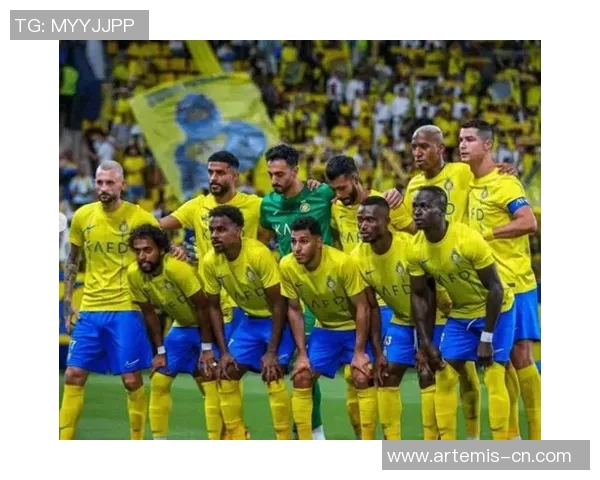 挪威与罗马尼亚激战正酣比赛结果揭晓引发球迷热议