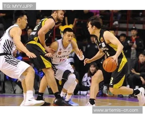 新疆与辽宁精彩对决回顾2015年11月25日比赛录像重温